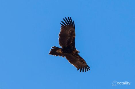 3 Jordan St, Seymour, VIC 3660