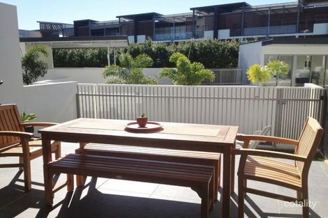 Property photo of 6/44 Addison Avenue Bulimba QLD 4171