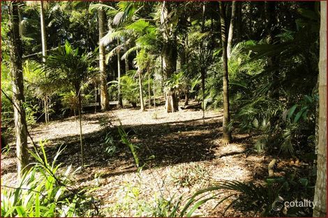 Property photo of 46 Eagle Heights Road Tamborine Mountain QLD 4272