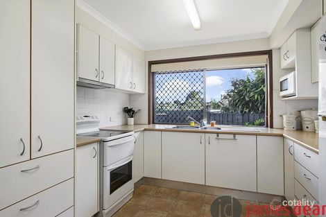 Property photo of 117 Vienna Road Alexandra Hills QLD 4161