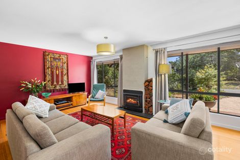 Property photo of 11 Kurrajong Avenue Aireys Inlet VIC 3231
