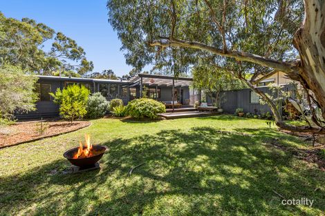 Property photo of 11 Kurrajong Avenue Aireys Inlet VIC 3231