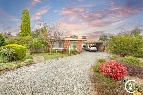 3 Lawson Dr, Moama, NSW 2731