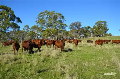 325 Mitchells Rd, Wandsworth, NSW 2365