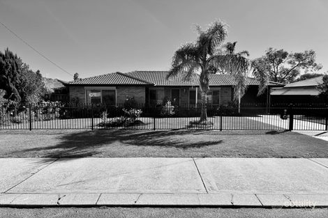 Property photo of 23 Steerforth Drive Coodanup WA 6210