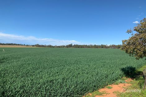 102l Burraway Rd, Terramungamine, NSW 2830