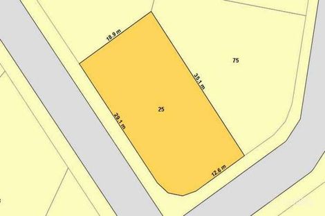 Property photo of 25 McMillan Street Drewvale QLD 4116