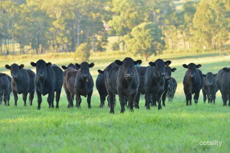 125 Bootawa Rd, Bootawa, NSW 2430