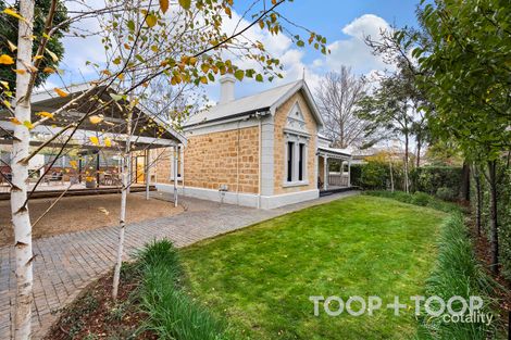 Property photo of 45 Grove Street Unley Park SA 5061