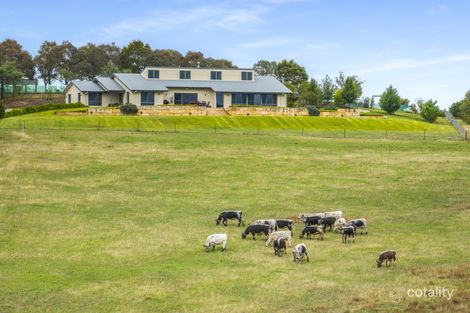 500 Portland Sunny Corner Rd, Portland, NSW 2847