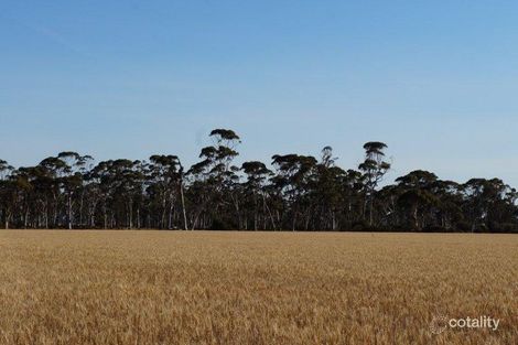 449 Grant Rd, Welbungin, WA 6477