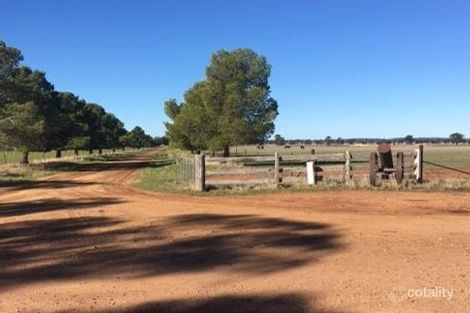 1677 Alleena Rd, Alleena, NSW 2671