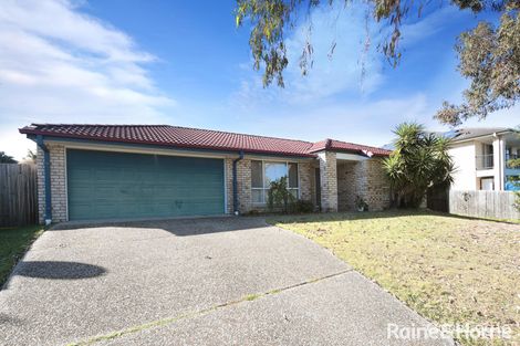 Property photo of 50 Newman Street Camira QLD 4300