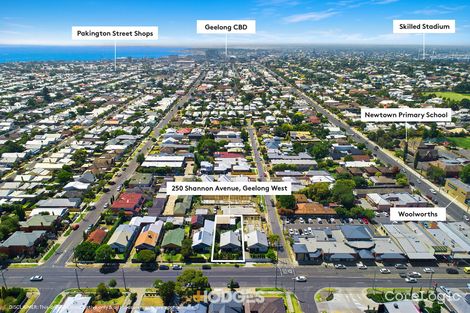 Property photo of 250 Shannon Avenue Geelong West VIC 3218