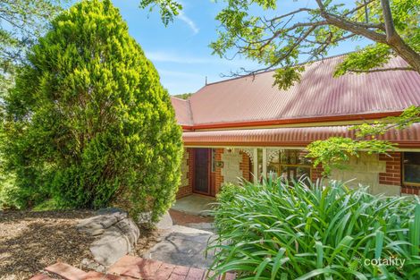 Property photo of 6 Malcolm Road Flagstaff Hill SA 5159