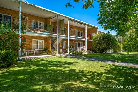 Property photo of 6/42 Tusmore Avenue Tusmore SA 5065