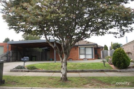 Property photo of 6 Silverton Court Craigieburn VIC 3064
