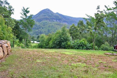 Property photo of 3137 Nerang Murwillumbah Road Natural Bridge QLD 4211
