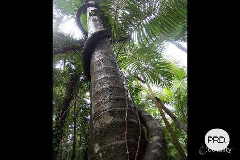 718 Round Hill Rd, Captain Creek, QLD 4677