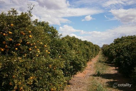 64 Lewis Rd, Ramco Heights, SA 5322