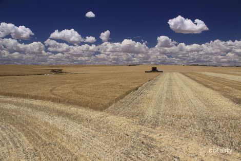 979 Kununoppin-Mukinbudin Rd, North Kununoppin, WA 6489