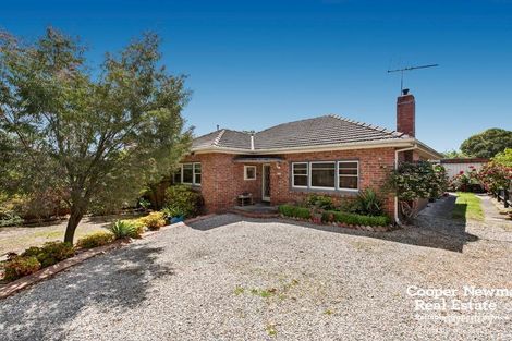 Property photo of 59 Madeline Street Glen Iris VIC 3146