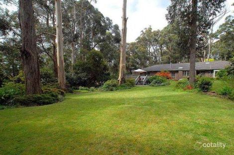 8 Seabreeze Ave, Ferny Creek, VIC 3786