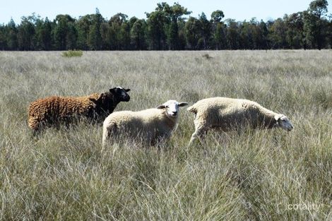 253 Goonalah North Rd, Miles, QLD 4415