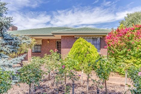 73 Winston Ave, Daw Park, SA 5041
