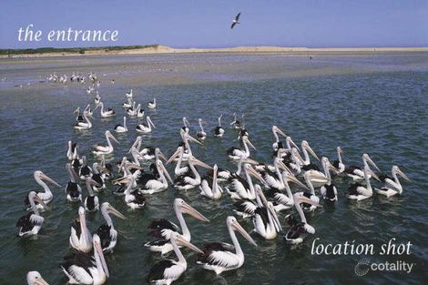 Property photo of 11/9 Marine Parade The Entrance NSW 2261