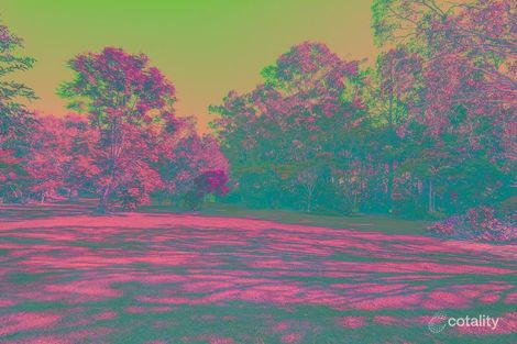 Property photo of 3 Satinay Court Oxenford QLD 4210