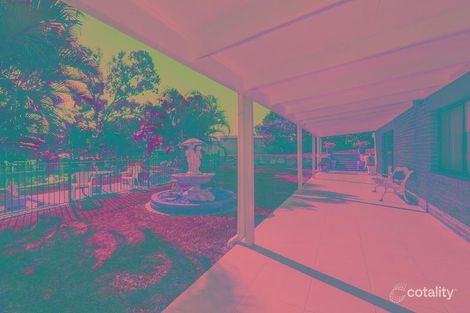 Property photo of 3 Satinay Court Oxenford QLD 4210