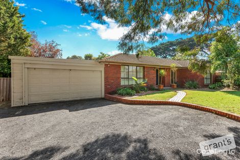 Property photo of 19 St Boswells Avenue Berwick VIC 3806