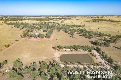 2369 Tantitha Rd, Tomingley, NSW 2869