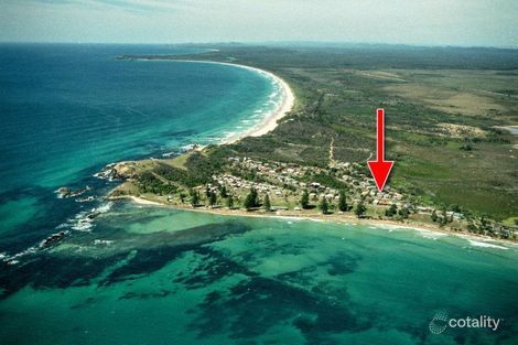Property photo of 114 Ocean Road Brooms Head NSW 2463