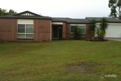 Property photo of 41 Feathertop Crescent Pacific Pines QLD 4211