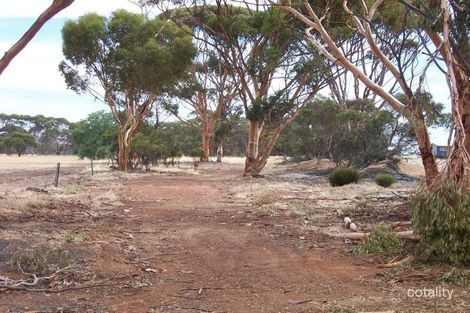 Property photo of 19 West Street Dumbleyung WA 6350