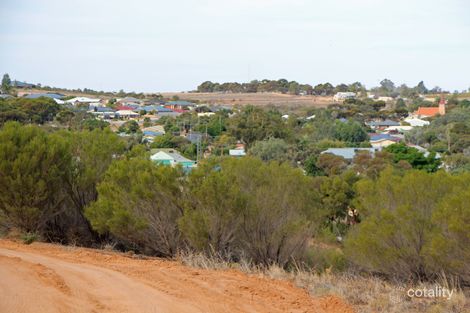 19 Murtho Rd, Paringa, SA 5340