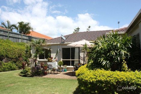 Property photo of 7 Watergum Parade Molendinar QLD 4214
