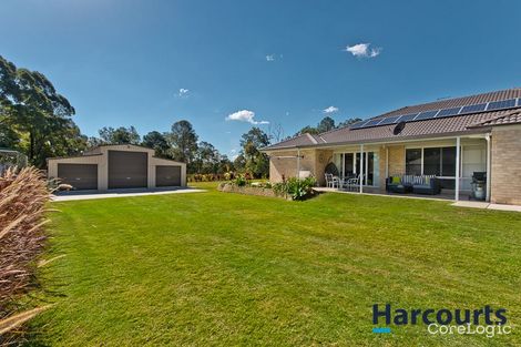 Property photo of 11 Stormbird Court Upper Caboolture QLD 4510