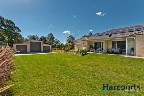 Property photo of 11 Stormbird Court Upper Caboolture QLD 4510