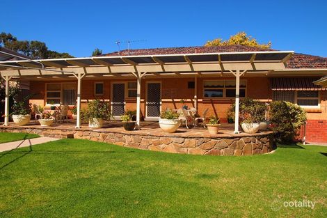 Property photo of 43 Park Avenue Rosslyn Park SA 5072