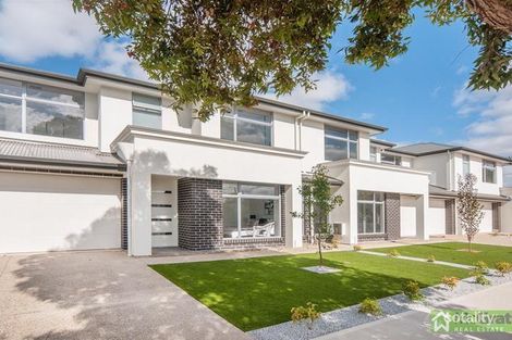 16 Ninnid Ave, Morphettville, SA 5043