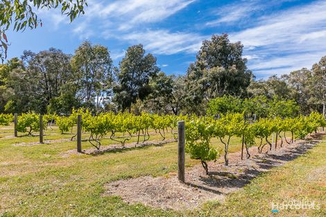 Property photo of 141 Limousin Way Lower Chittering WA 6084