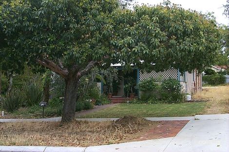 175 Alice St, Doubleview, WA 6018