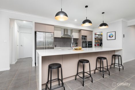 Property photo of 7 Wollemi Street Beerburrum QLD 4517