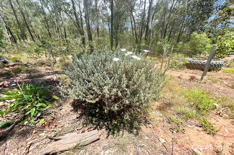 Property photo of 32143 Bruce Highway Booyal QLD 4671