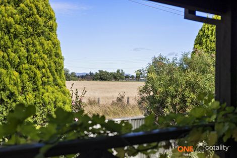Property photo of 7 Ellen Avenue Singleton NSW 2330