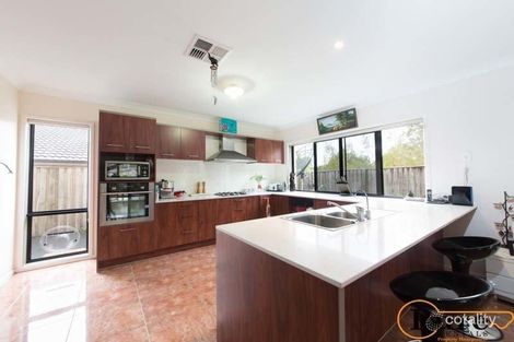 Property photo of 6 Gibbston Place Doolandella QLD 4077