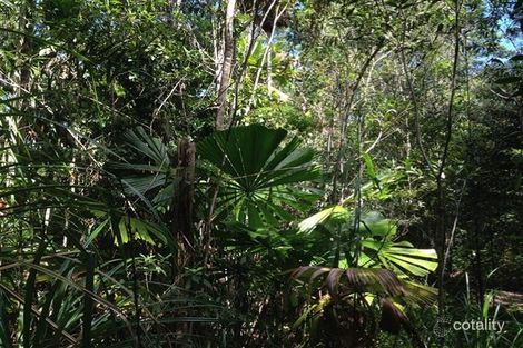 36 Gregory Tce, Kuranda, QLD 4881